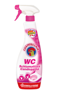 Chante Clair WC-Reiniger Intensiv Schaum 625ml Chante Clair WC-Reiniger Intensiv Schaum 625ml