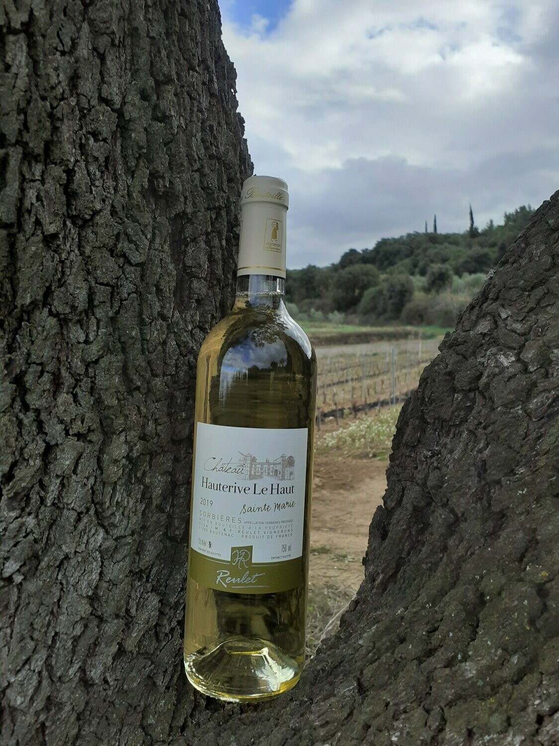 CORBIERES BLANC SAINTE MARIE