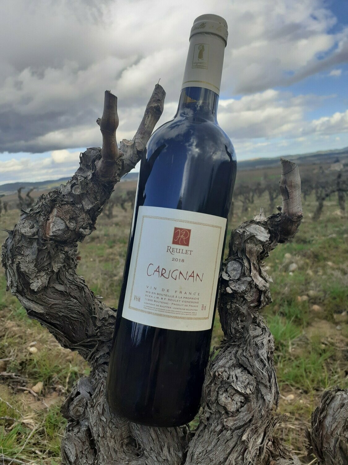 CARIGNAN