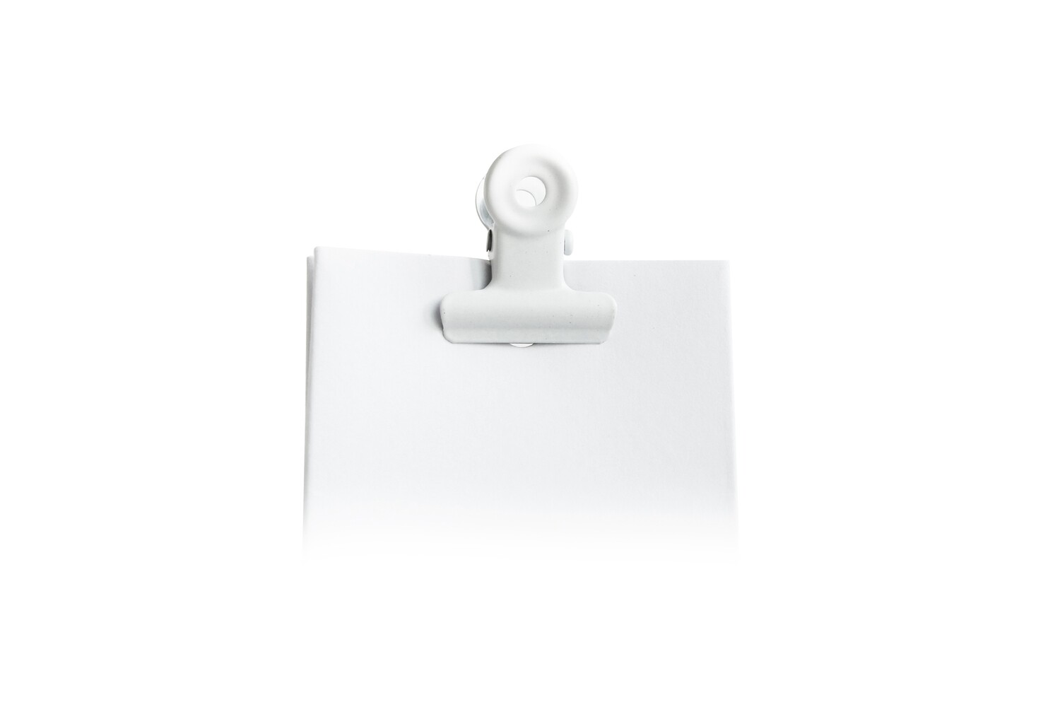 Witte Bulldog Klem 12st