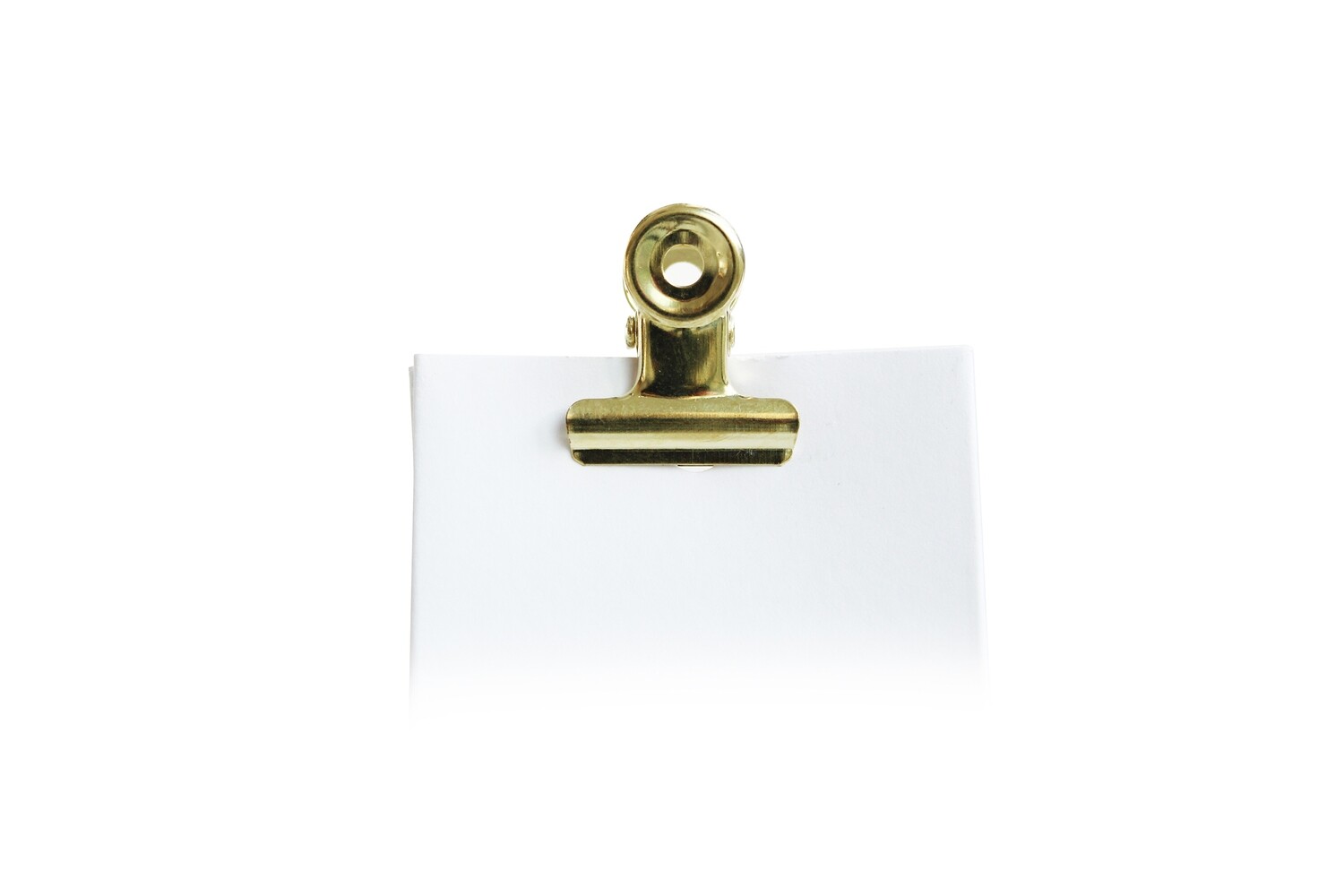 Gouden Bulldog klem 12st