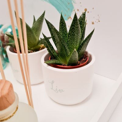 Bloempotje keramiek wit - D7/H6 cm
