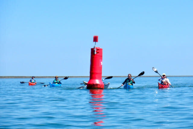 Dagtocht Westerschelde