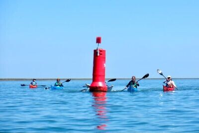 Dagtocht Westerschelde
