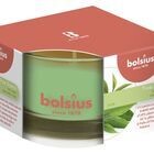 Bolsius scented candle True Scents green tea 5x8cm