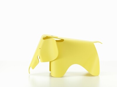Elephant buttercup Small