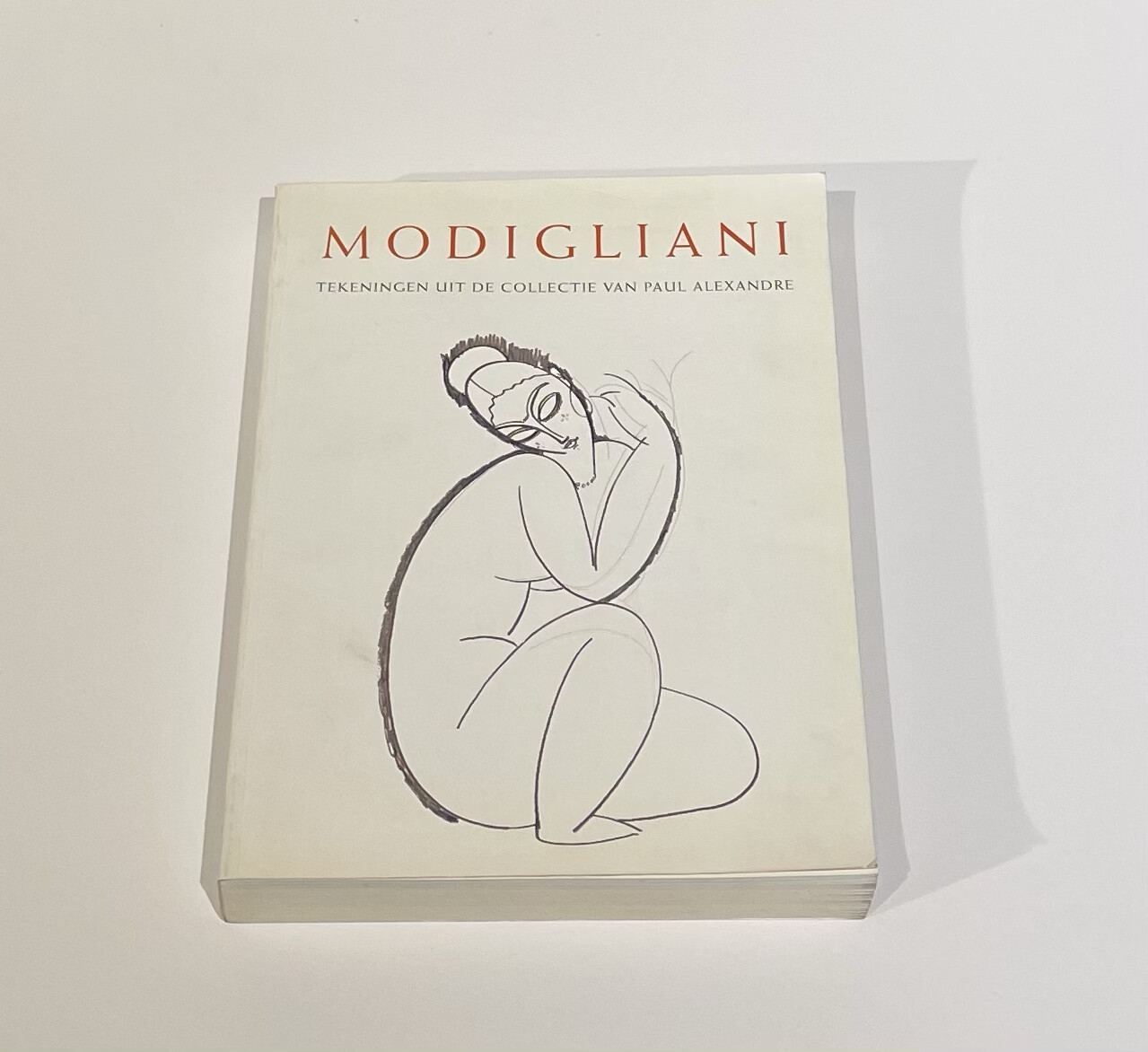 Boek | Modigliani