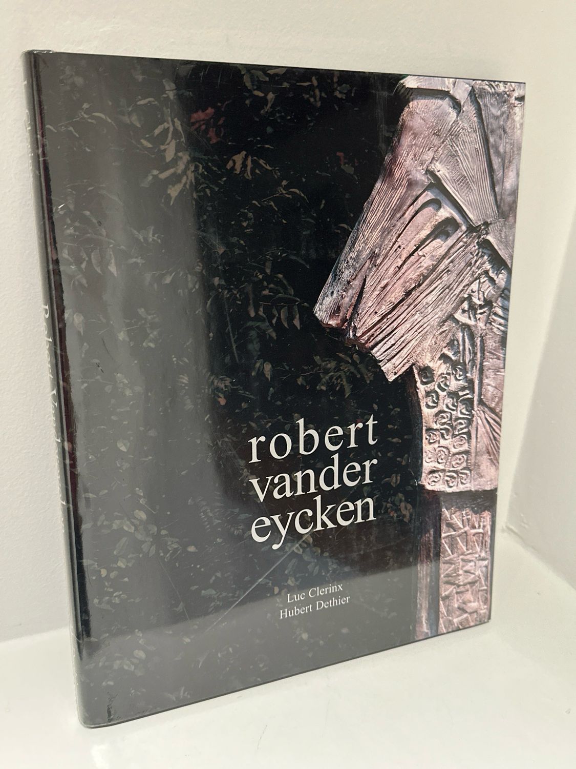 Boek | Robert Vandereycken