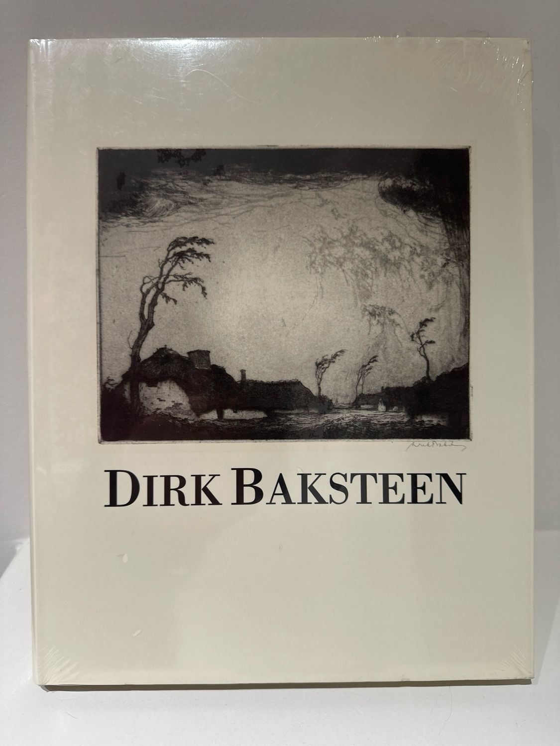 Boek | Dirk Baksteen