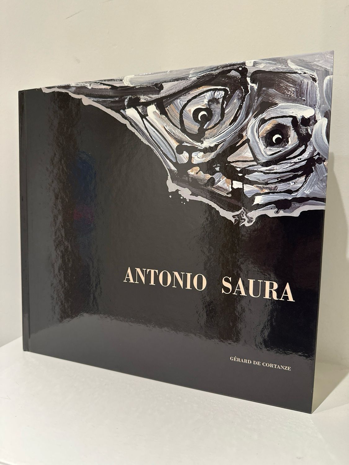 Boek | Antonio Saura