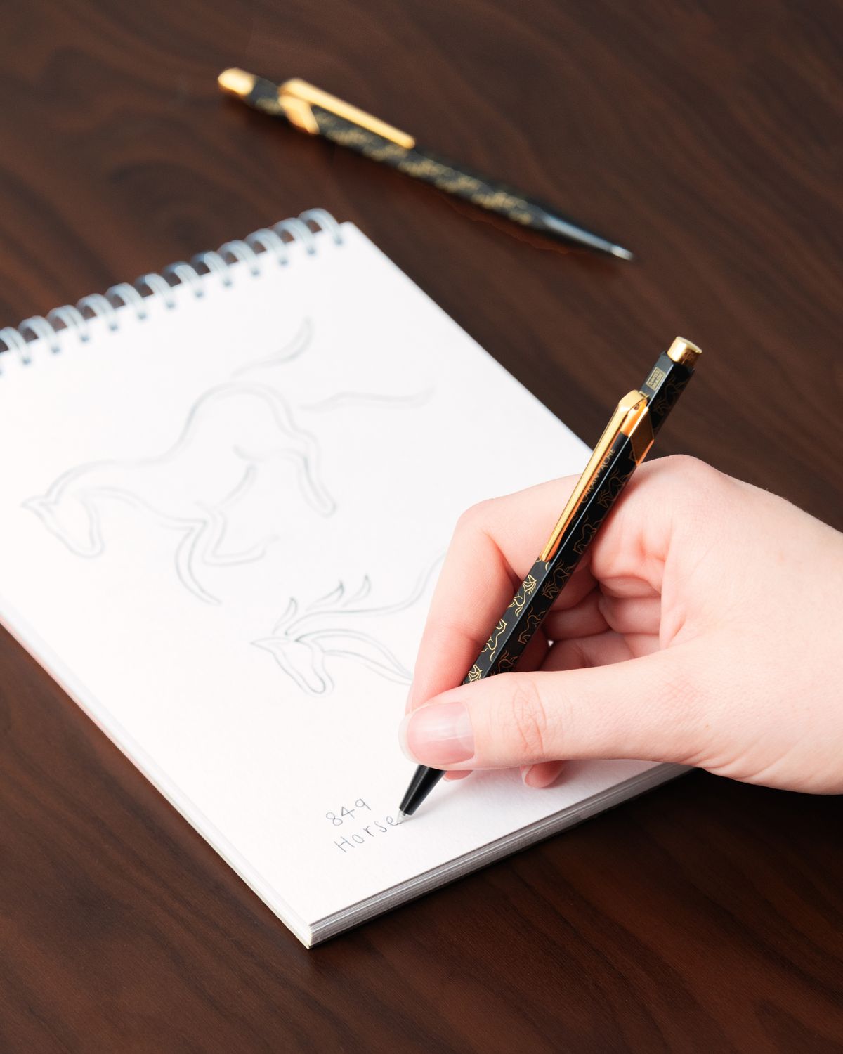 Caran d’Ache | 849 Vulpotlood Horse