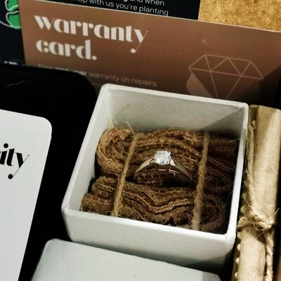 Diamond Engagement Ring (Arvey)