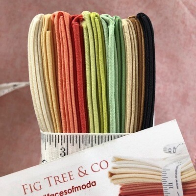 Bella Solids
