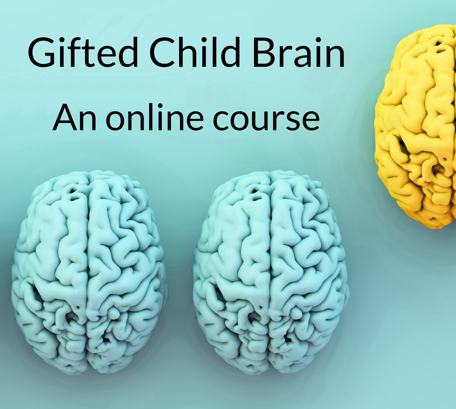 Gifted Child Brain: 4 session online course starting 15 March 2022