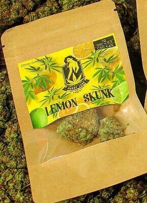 Lemon Skunk (CBD je ~ 4-6 %)