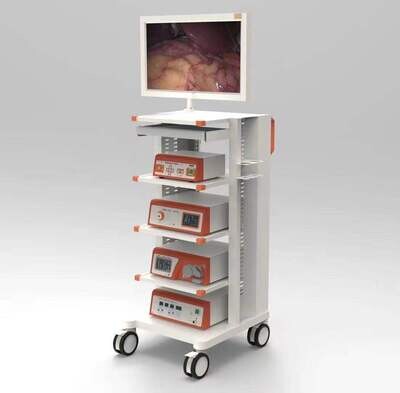 Endoscope