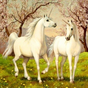 Diamond painting eenhoorns / unicorns 30 x 30