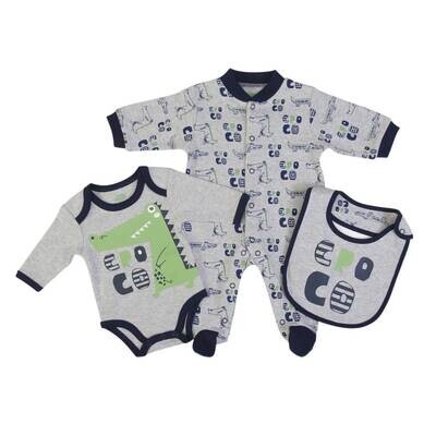 Set of 2 Bodysuits And Bib