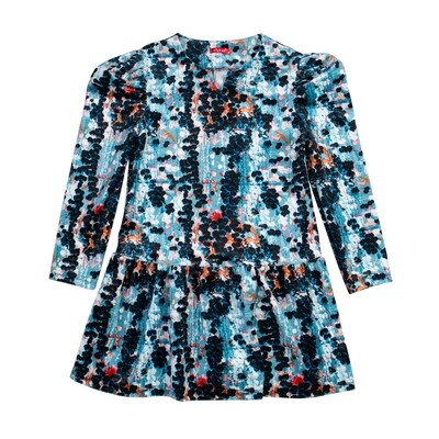 Printed Velvet Dress