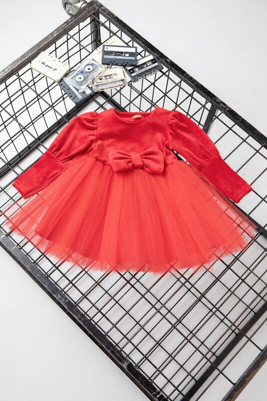 Velvet Dress With Tulle
