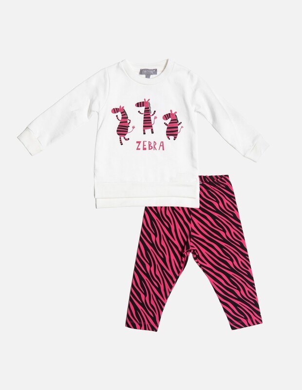 Set Zebra