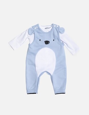 Dungarees With Top Set