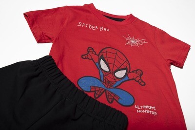 Set Spiderman