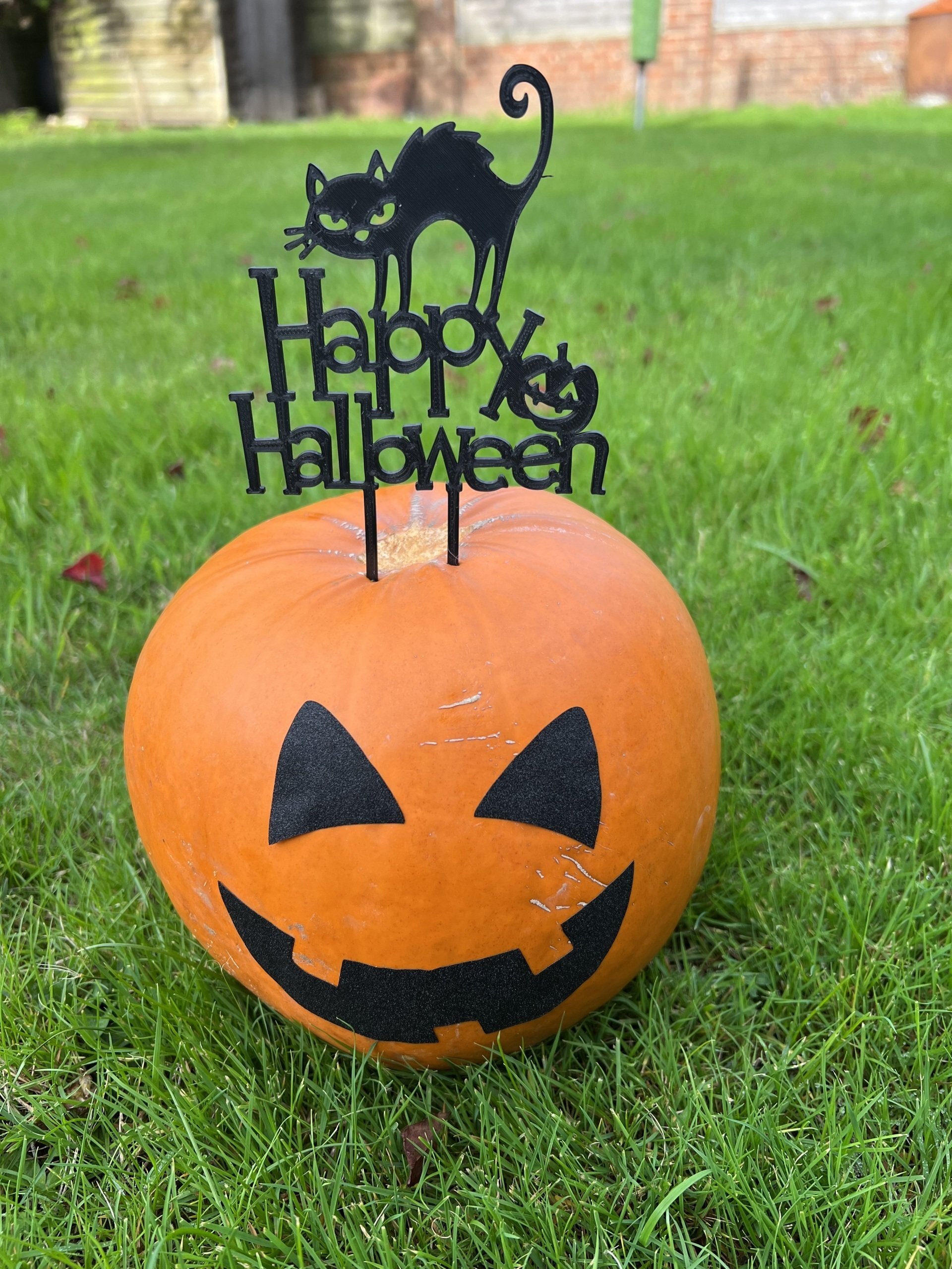 Happy Halloween Cat cake topper and pumpkin topper