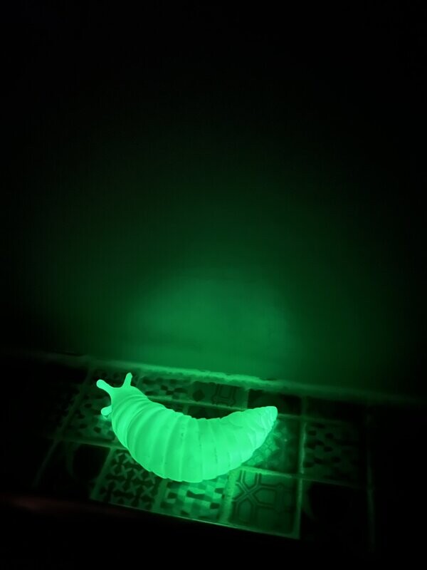 Cute articulated slug fidget toy, flexible and friendly, glow in the dark, colour changing or plain