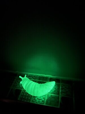 Cute articulated slug fidget toy, flexible and friendly, glow in the dark, colour changing or plain