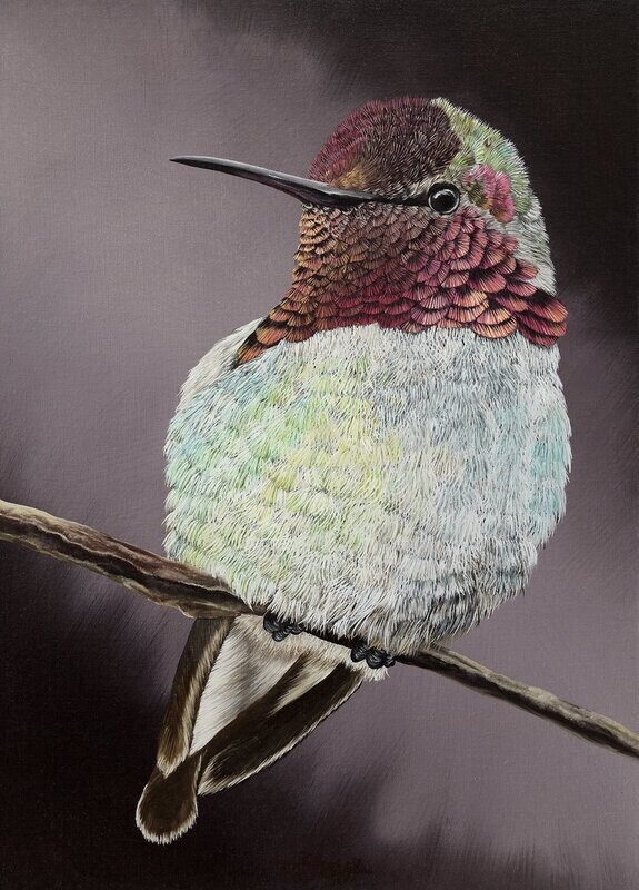 Hummingbird