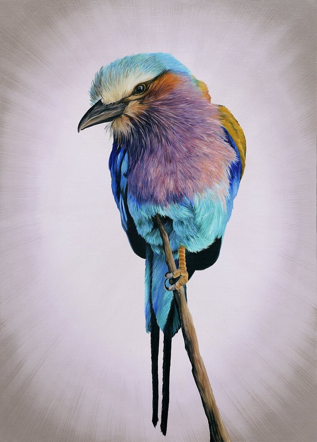 Lilac Breasted Roller