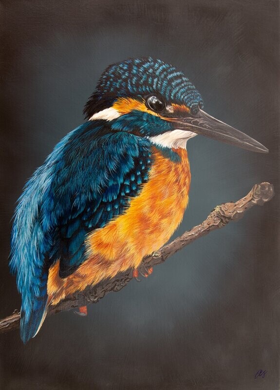 Kingfisher Original Painting
