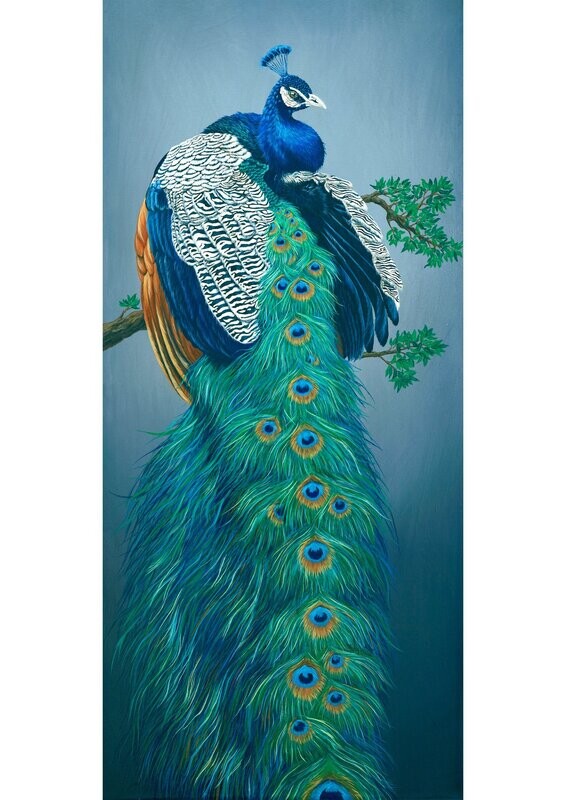 Peacock Original Painting