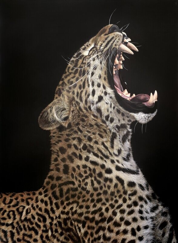 Slumber Original Painting