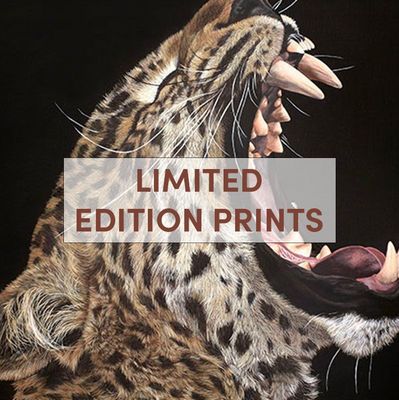 LIMITED EDITION PRINTS