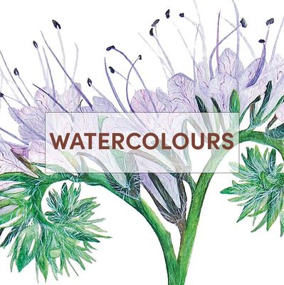 WATERCOLOURS