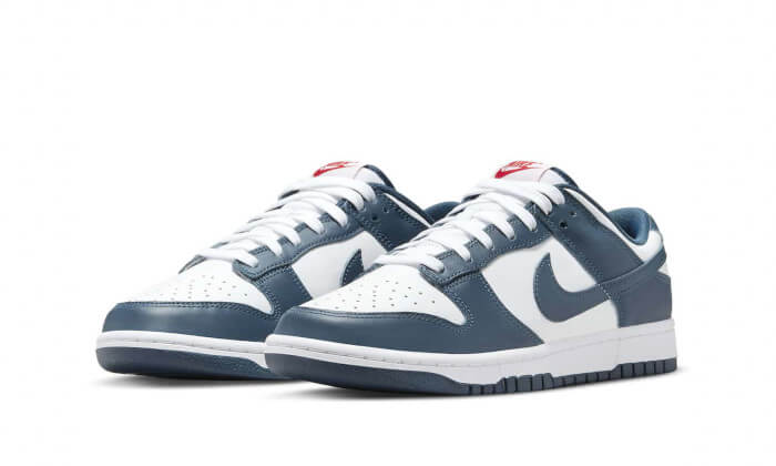 Nike Dunk Low Valerian Blue | OVERCEZ