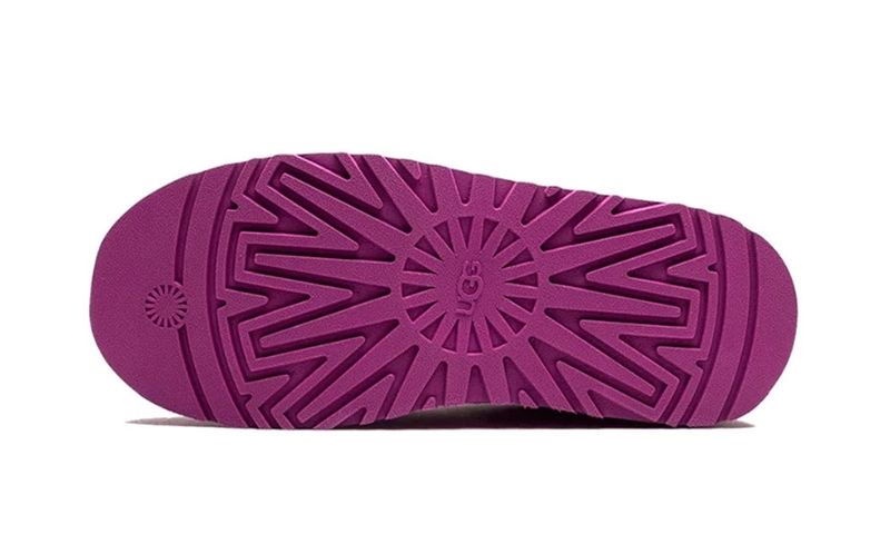 UGG Tazz Slipper Mangosteen (W) | OVERCEZ