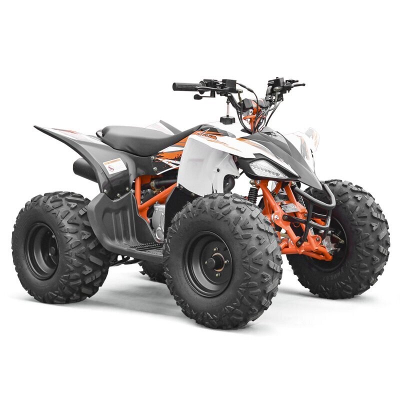 Quad KAYO 125cc enfant 8 pouces Predator
Uniquement sur commande
Réf : 10003