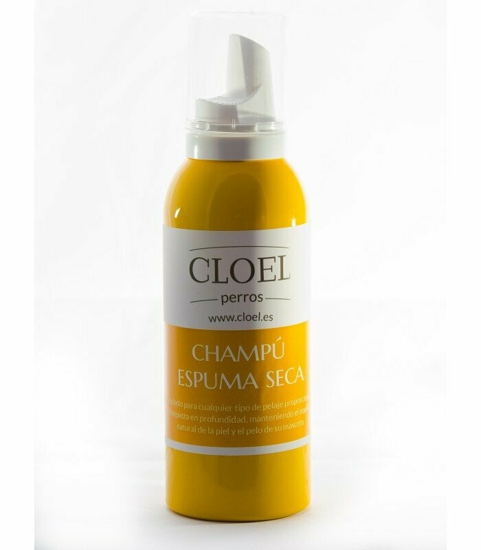 CHAMPÚ ESPUMA EN SECO 200 ML