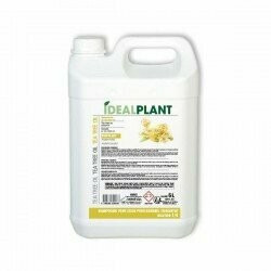 CHAMPU AL ACEITE DE ARBOL DE TE