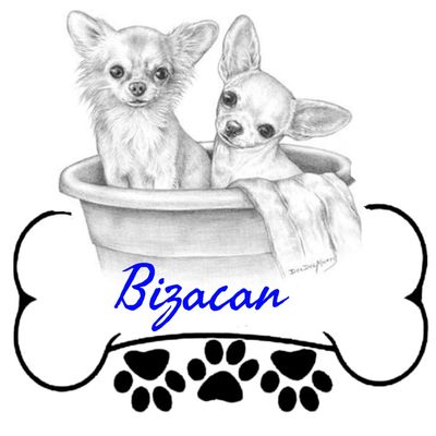 BIZACAN