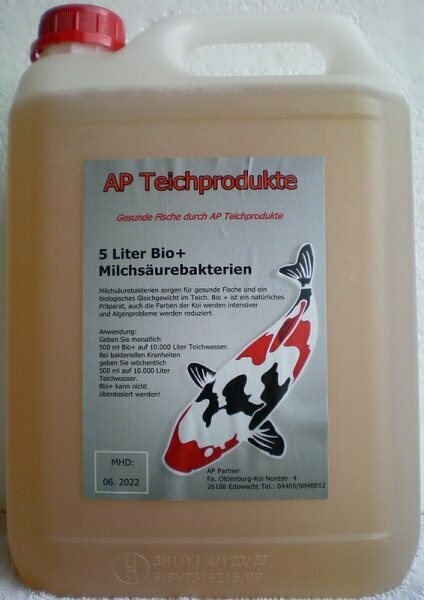 Milchsäurebakterien 5L