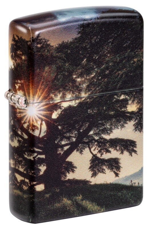 CEDAR TREE DESIGN
