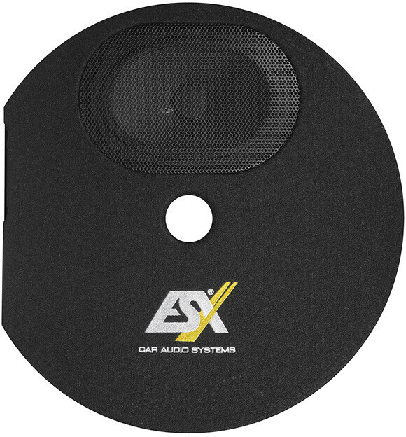 Esx DBX300Q