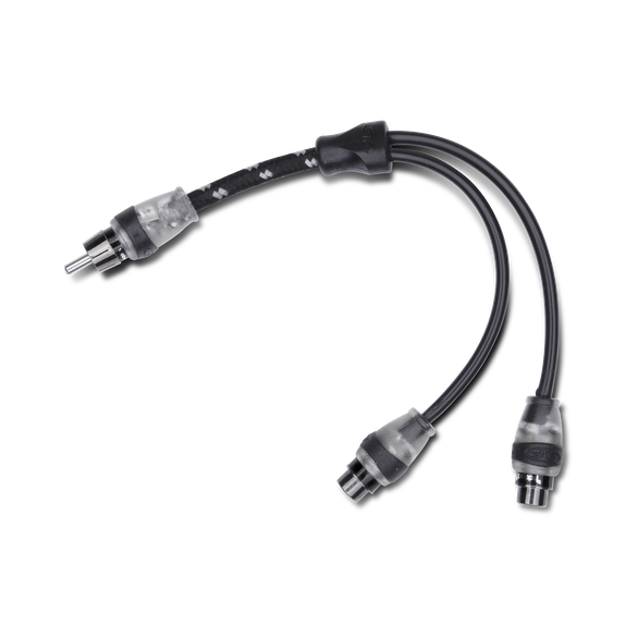 Rockford RFITY-1M