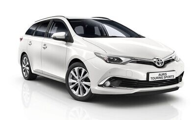 AURIS