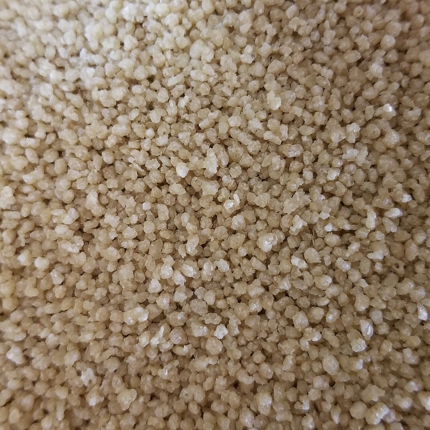 100g de Couscous complet