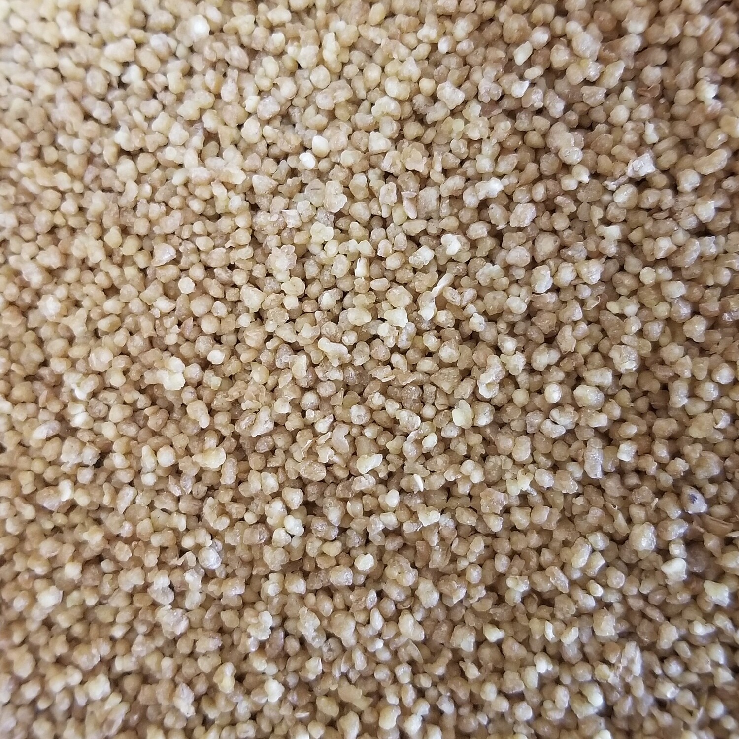 100g de Couscous de petit épeautre